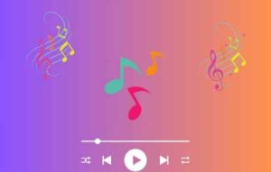 Suzi Quatro: Importância da baixista para o rock