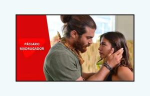 Ver la telenovela turca