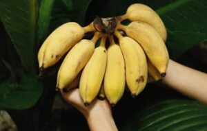 10 Consejos para Dejar de Ser un Ex-Estresado