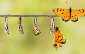 Superando Viejos Hábitos