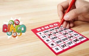 Descubre la Diversión del Bingo Online con celular