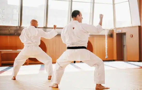 Aplicaciones Móviles para Aprender Karate