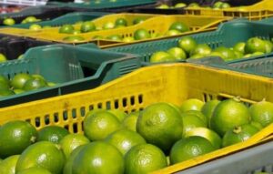 Cómo los Alimentos Naturales Pueden Ayudar en el Control de la Diabetes