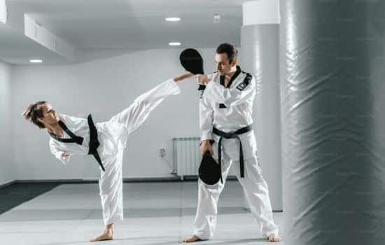 Domina artes marciales con Treino Karate