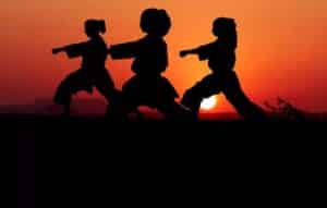 Domina las artes marciales con eficacia!