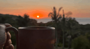 Despiértate Energizado con Apps Mañaneras