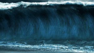 Protección Total: Tsunamis Bajo Control