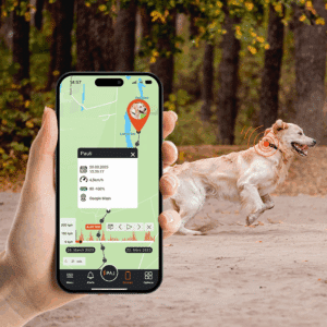 ¡Tractive GPS: Encuentra y Protege Ya!