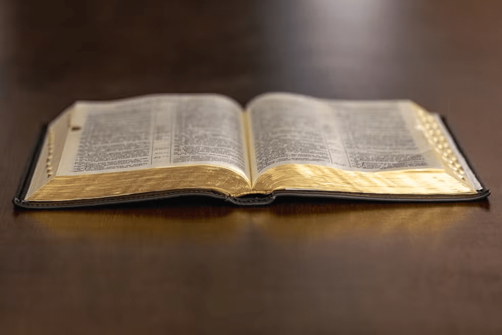 Beneficios de Recitar Salmos Diarios en Tu Vida